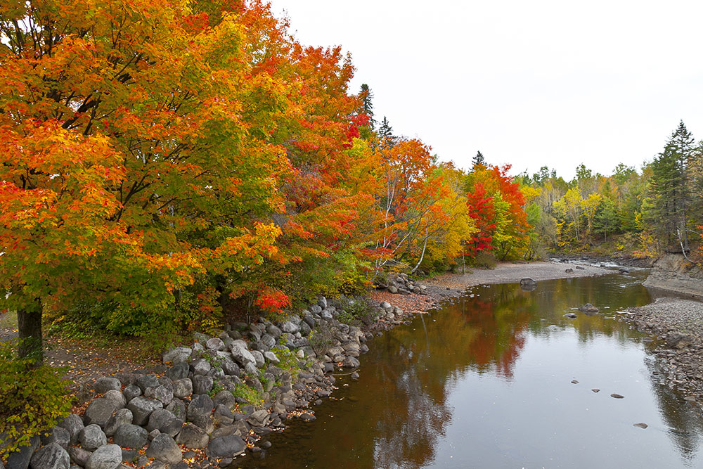 Les Rivières (Lebourgneuf et Duberger)