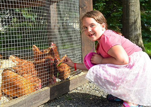 Enfant et poules.