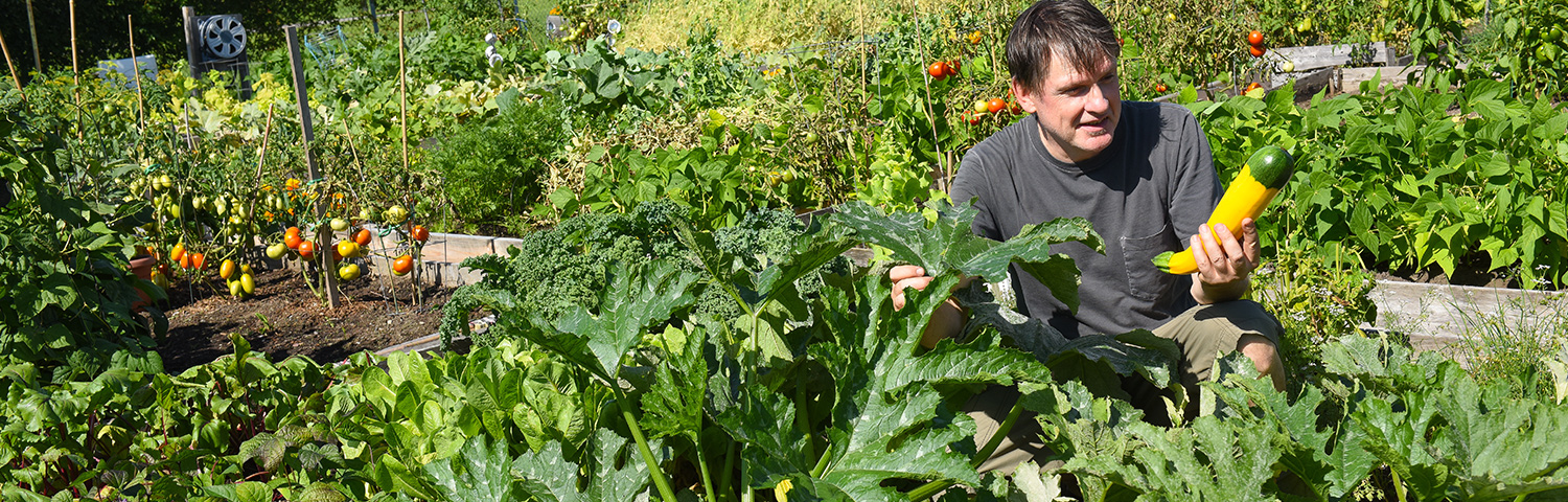 Jardins Municipaux Jardins Municipaux