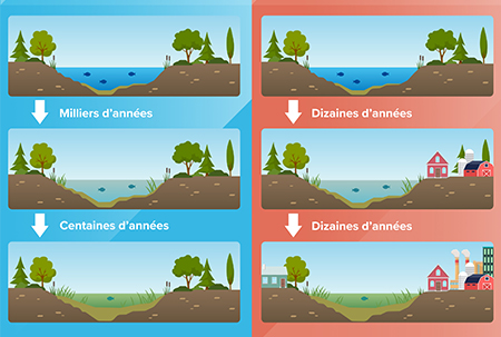 Schéma qui illustre la différence entre l'eutrophisation naturelle et anthropique.