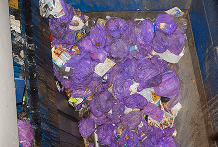 Sacs mauves dans le broyeur.