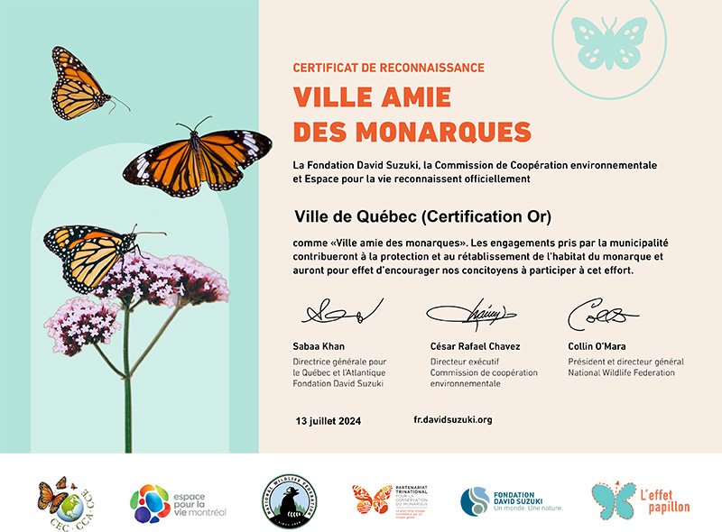 Certificat de reconnaissance - Ville amie des monarques