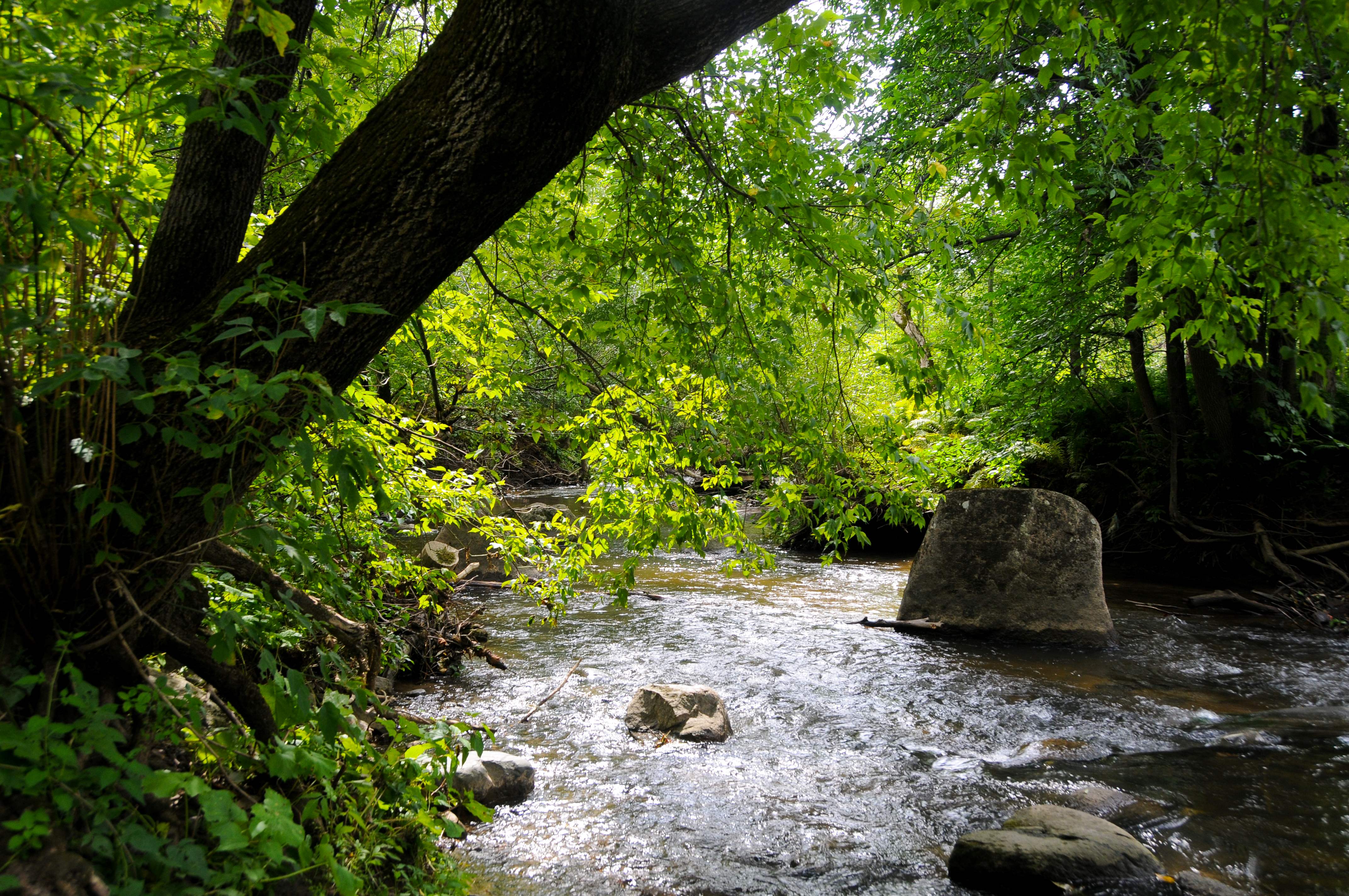 Parc de la rivière Beauport