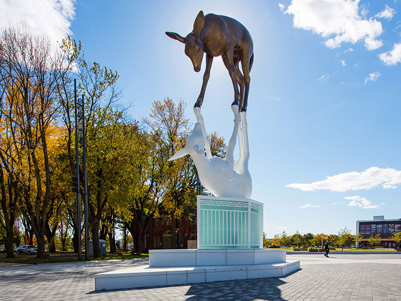 Lumières et musique classique à la place Jean-Béliveau