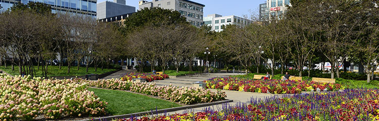 Jardin Saint-Roch