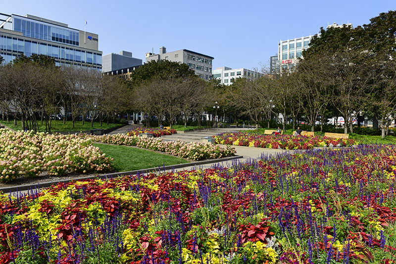 Jardin de Saint-Roch