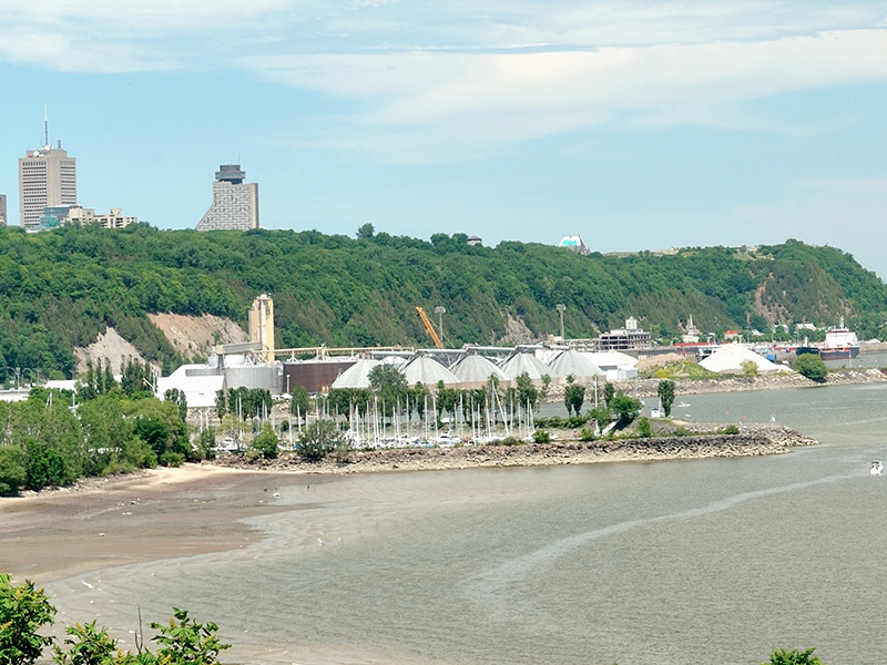 Anse au Foulon