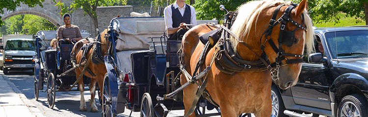 Calèches de Québec