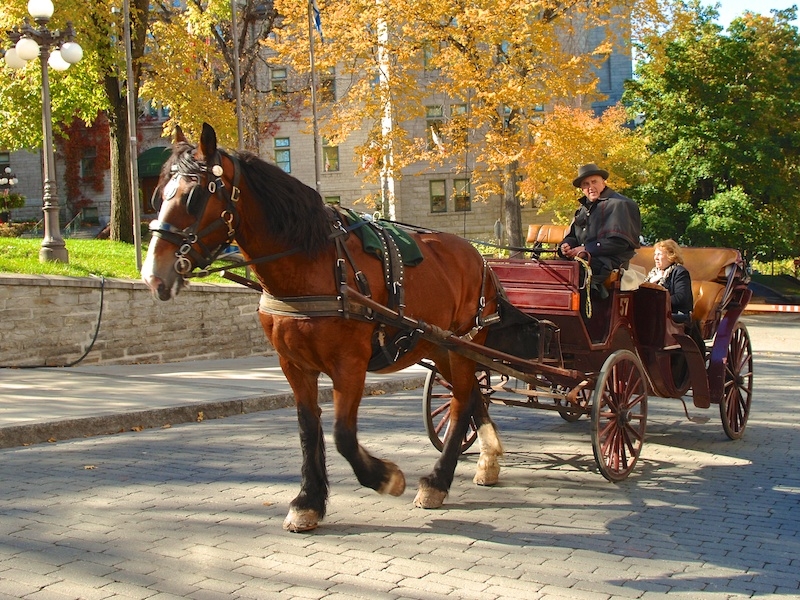 Calèches de Québec